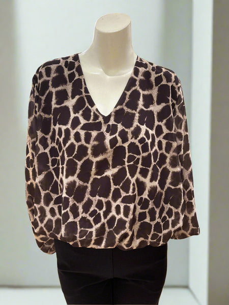 Long Sleeve V Neck Print Top