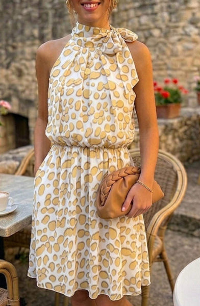 Sleeveless Print Dress