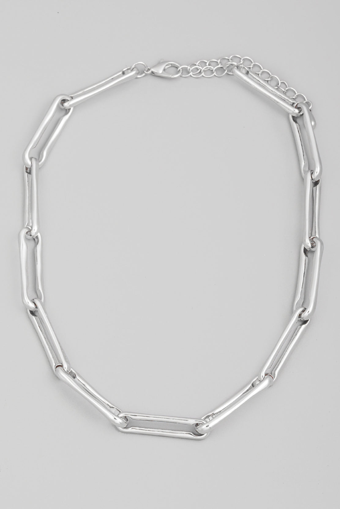 Long Oval Chain Link Necklace